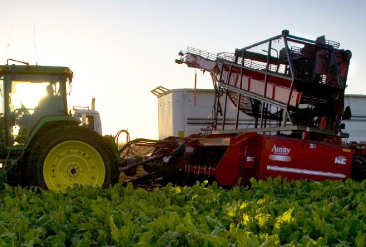 Food & Agriculture North Dakota State Government ND Portal